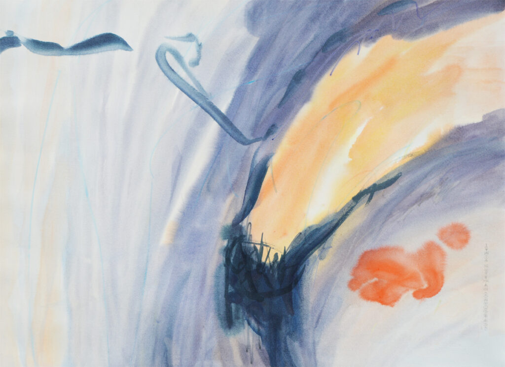 Poppy In Moonlight l Lynda Hoffman-Snodgrass