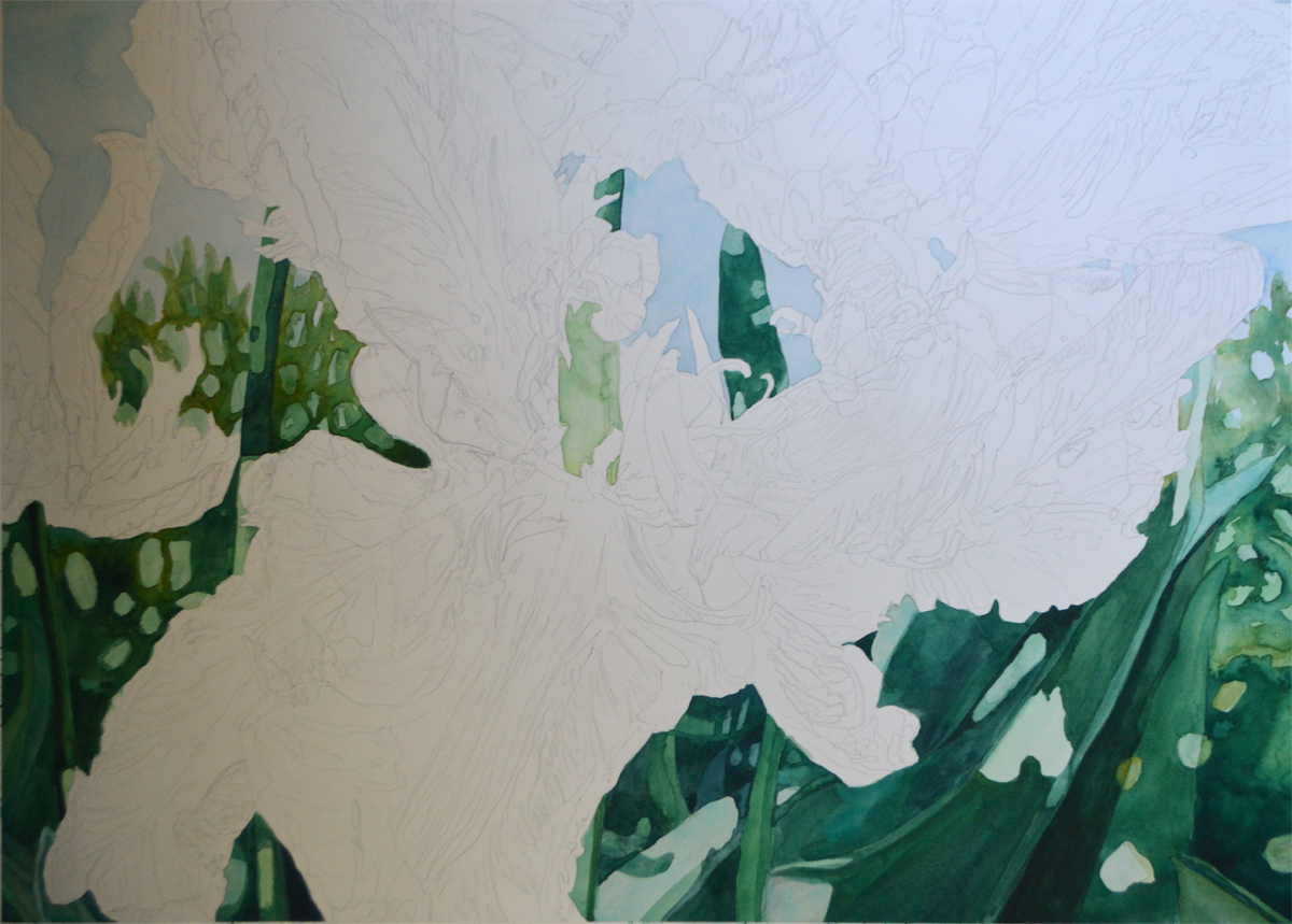 Tulip step3 - Lynda Hoffman-Snodgrass